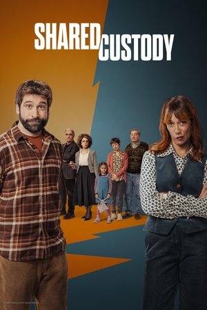 Közös felügyelet poszter