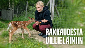 Rakkaudesta villieläimiin kép