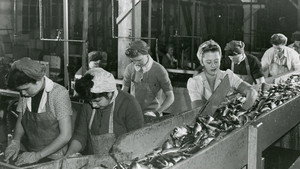 Working People: A History of Labour in British Columbia kép