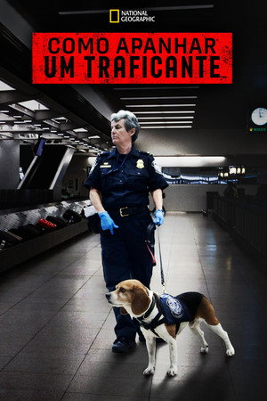 Drogfogások a repülőtéren poszter