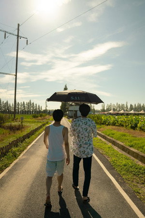这个夏天结束前 poszter