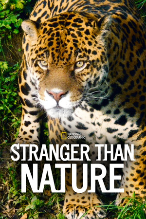 Stranger Than Nature 1. évad (2011-03-14) poszter