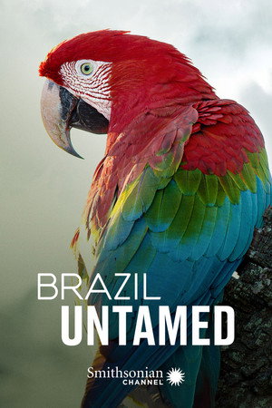 Szelidítetlen Brazília poszter