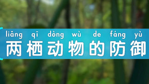 斑马百科 29. évad Ep.8 8. epizód
