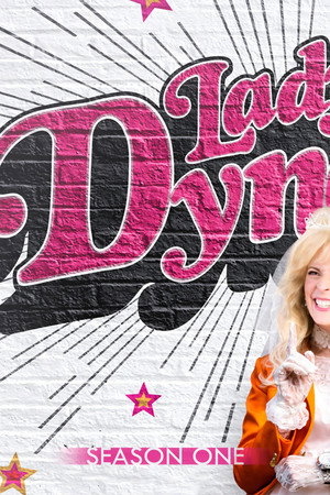 Lady Dynamite 1. évad (2016-05-20) poszter