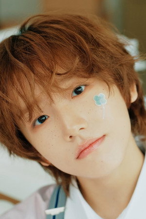 정세민 profil kép