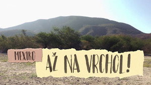 Vandráci 1. évad Ep.8 8. epizód