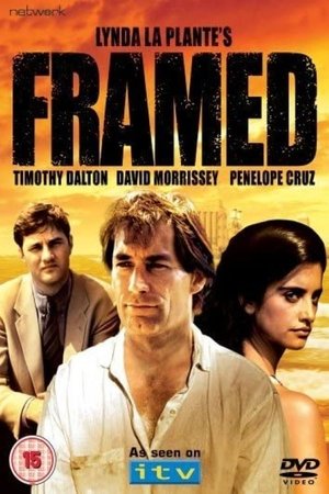 Framed poszter