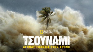 2004-es szökőár: Versenyfutás az idővel kép