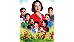 翠兰的爱情 kép