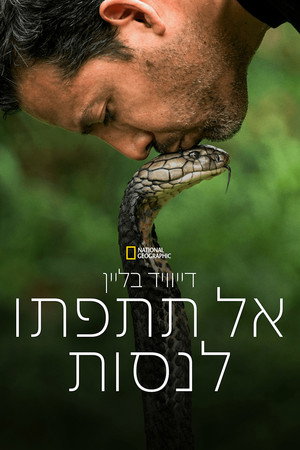 Ezt ne próbáld ki! - Halálos mutatványok David Blaine-nel poszter