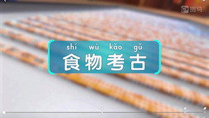 斑马百科 21. évad Ep.8 8. epizód