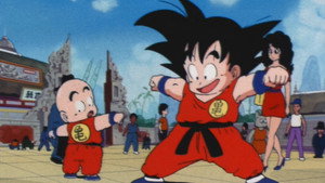 Dragon Ball 1. évad Ep.19 A nagy bajnokság