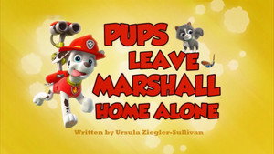 PAW Patrol 2. évad Ep.11 11. epizód