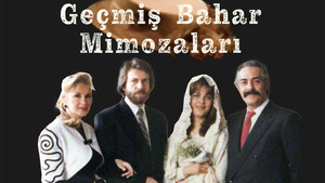 Geçmiş Bahar Mimozaları kép