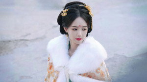 书卷一梦 kép
