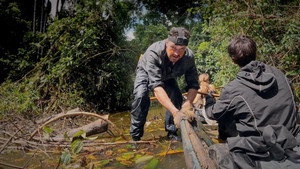 7 vs. Wild 5. évad Ep.11 11. epizód