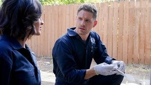 CSI: Las Vegas-i helyszínelők 2. évad Ep.7 Kiégés
