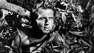 Tarzan kép