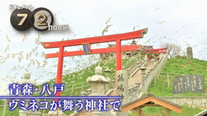 ドキュメント72時間 14. évad Ep.19 19. epizód