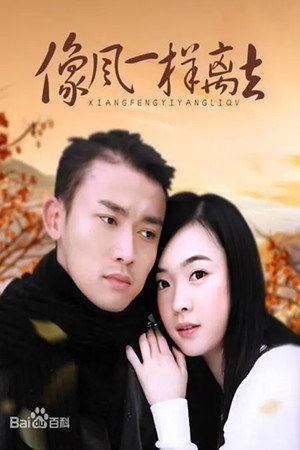 像风一样离去 poszter