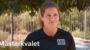 Mästarkvalet kép