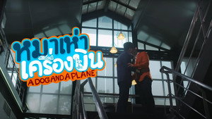 หมาเห่าเครื่องบิน kép