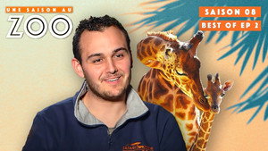 Une saison au zoo 8. évad Ep.4 4. epizód