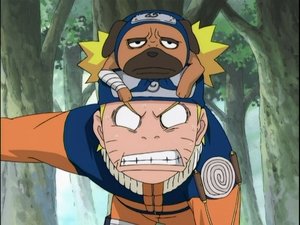 Naruto 3. évad Ep.144 A háromfős csapat! Két ember és egy zsebkutyuli!