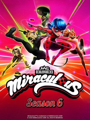 Miraculous Katicabogár és Fekete Macska kalandjai poszter