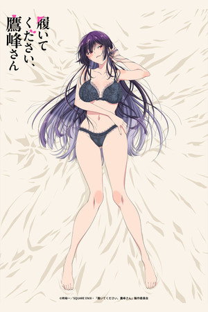 履いてください、鷹峰さん poszter