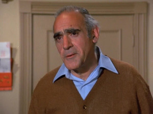 Eight Is Enough 3. évad Ep.25 25. epizód