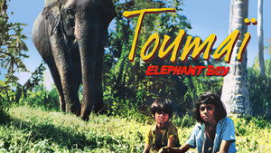 Elephant Boy kép