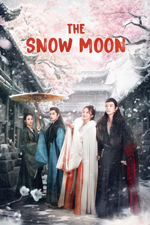 风月如雪 poszter