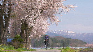 Cycle Around Japan 7. évad Ep.6 6. epizód
