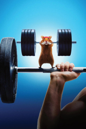 Human vs Hamster poszter