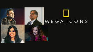 Mega Icons kép
