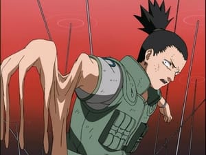 Naruto 3. évad Ep.122 Igaz, vagy hamis? Shikamaru, a ravasz stratéga visszavág!