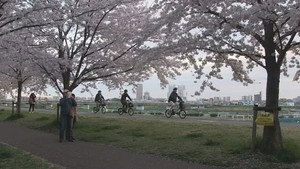 ドキュメント72時間 6. évad Ep.16 16. epizód