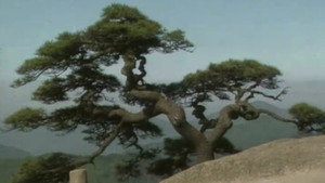 大江南北 10. évad Ep.15 15. epizód