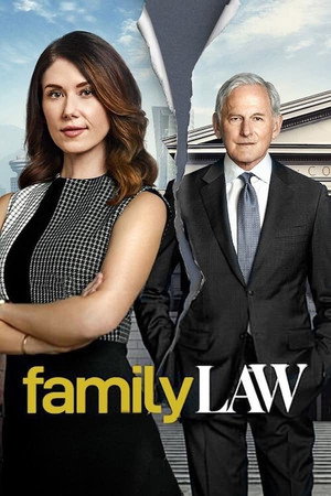 Family Law 3. évad (2025-01-05) poszter