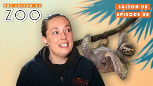 Une saison au zoo 8. évad Ep.8 8. epizód