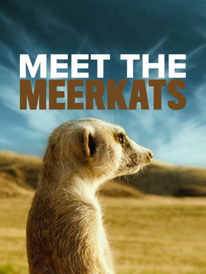 Meet The Meerkats poszter
