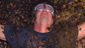 I'm a Celebrity...Get Me Out of Here! 20. évad Ep.20 20. epizód