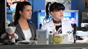 NCIS: Tengerészeti helyszínelők 10. évad Ep.18 Szimat