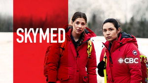SkyMed kép