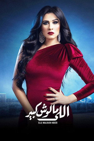 اللي مالوش كبير poszter