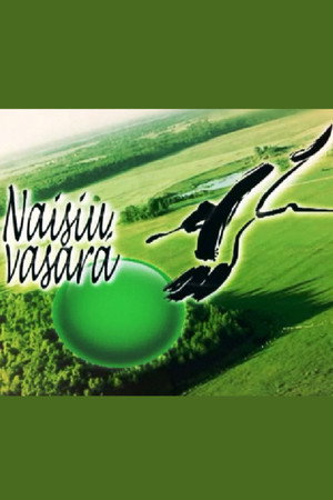Naisių vasara poszter