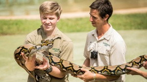 Ausztrál állatkert - Steve Irwin öröksége 2. évad Ep.2 Robert és a kockás piton