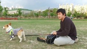 나 혼자 산다 1. évad Ep.246 246. epizód